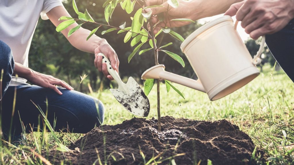 5 Tips to be a Successful Agricultural Investor 17