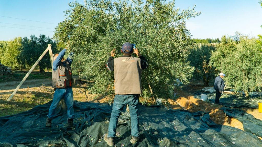 5 Tips to be a Successful Agricultural Investor 18