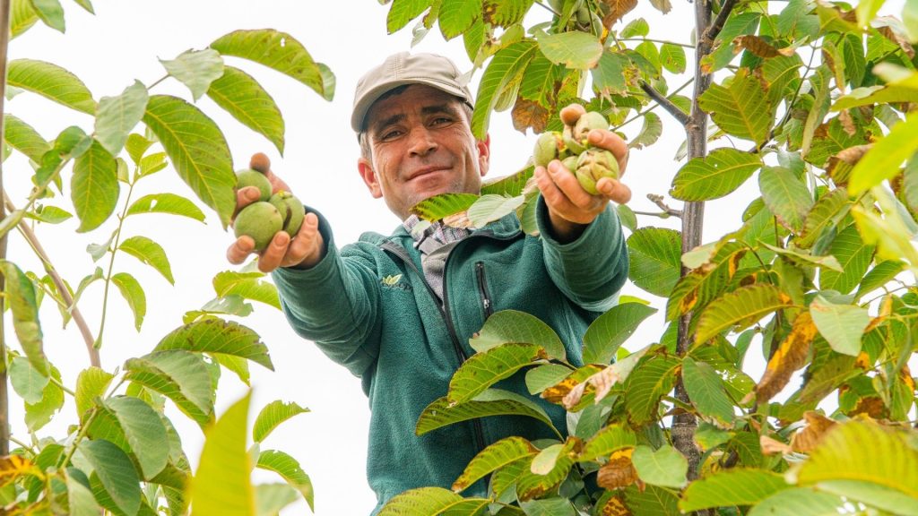 5 Tips to be a Successful Agricultural Investor 19